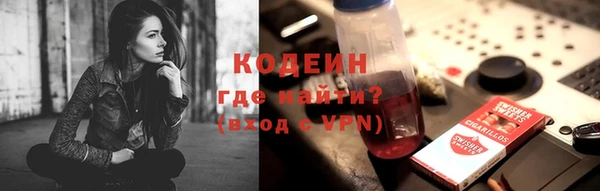 метадон Богданович