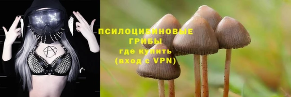 метадон Богданович