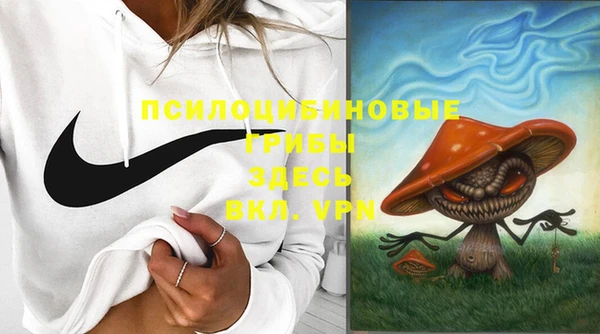 mix Осинники