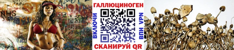 Псилоцибиновые грибы мицелий  OMG зеркало  Волгореченск 