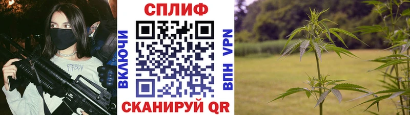 Бошки марихуана Ganja  где купить наркотик  Волгореченск 